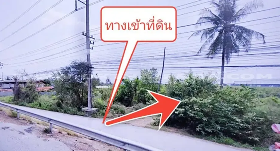 For sale land in Lat Lum Kaeo, Pathum Thani