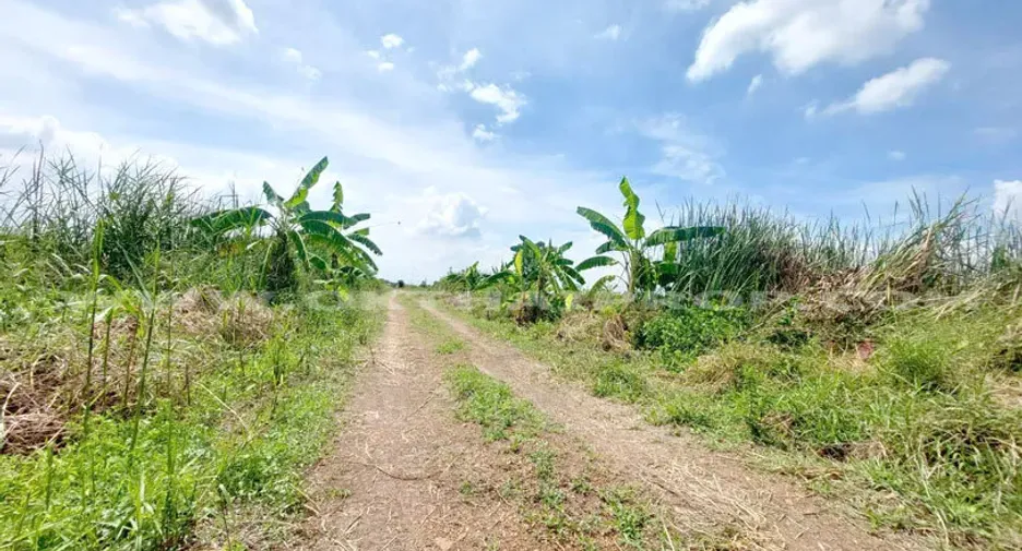 For sale land in Lat Lum Kaeo, Pathum Thani