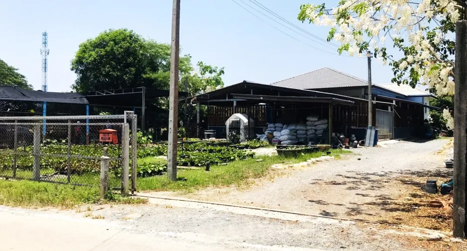 Продажа Участок в Bang Yai, Нонтабури