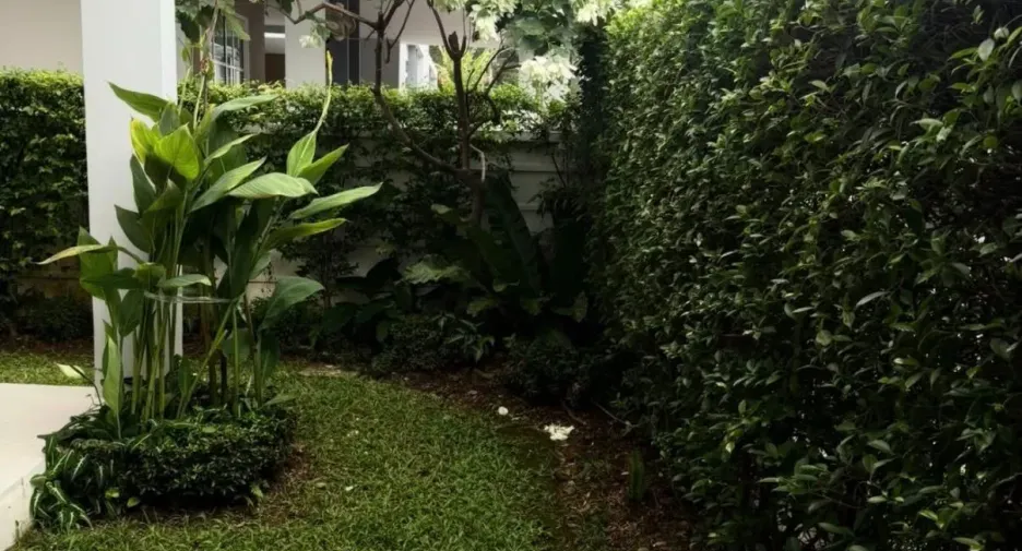 Haus zur Miete mit 4 Zimmer in Mueang Phuket, Phuket
