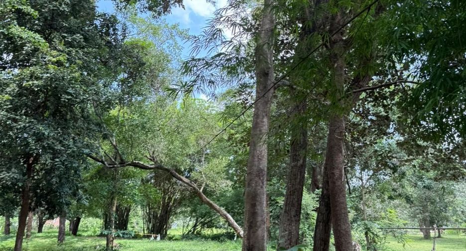 For sale land in Mueang Ubon Ratchathani, Ubon Ratchathani