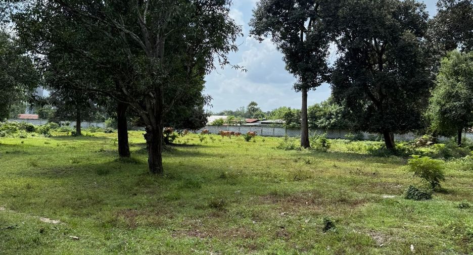 For sale land in Mueang Ubon Ratchathani, Ubon Ratchathani