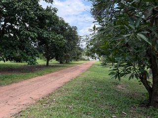 ขาย ที่ดิน ใน เมืองอุบลราชธานี, อุบลราชธานี