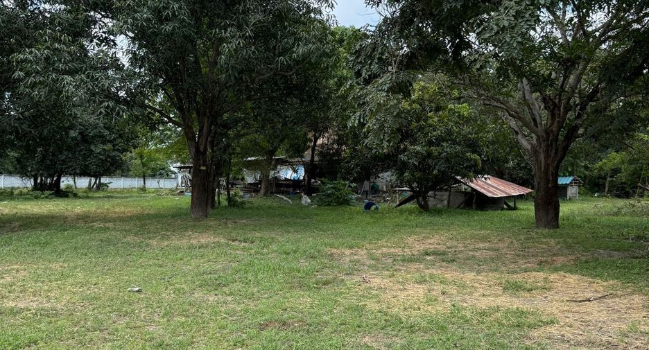For sale land in Mueang Ubon Ratchathani, Ubon Ratchathani
