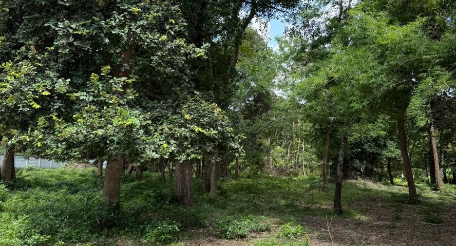 For sale land in Mueang Ubon Ratchathani, Ubon Ratchathani