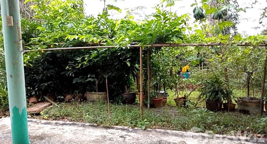 出售 土地 在 Mueang Chaiyaphum, Chaiyaphum