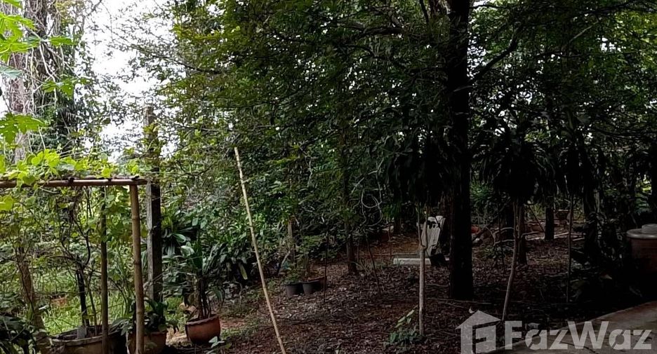 出售 土地 在 Mueang Chaiyaphum, Chaiyaphum