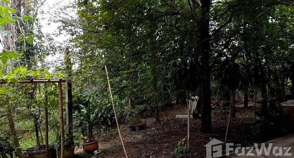 For sale land in Mueang Chaiyaphum, Chaiyaphum