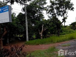 For sale land in Mueang Chaiyaphum, Chaiyaphum