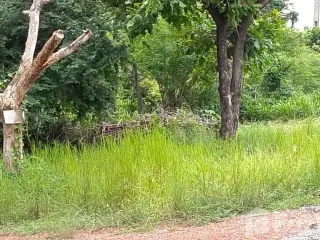 For sale land in Mueang Chaiyaphum, Chaiyaphum