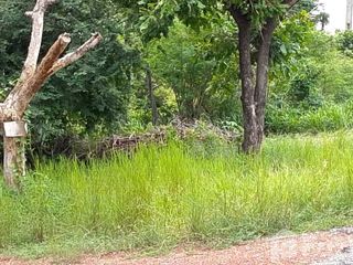For sale land in Mueang Chaiyaphum, Chaiyaphum