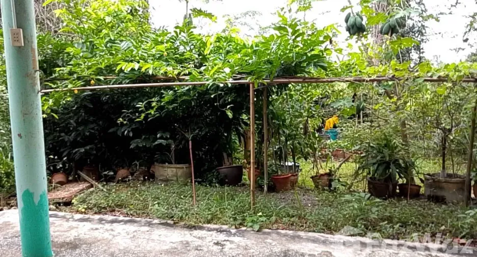 For sale land in Mueang Chaiyaphum, Chaiyaphum