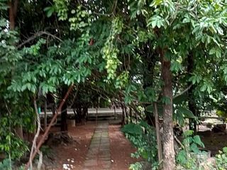 For sale land in Mueang Chaiyaphum, Chaiyaphum