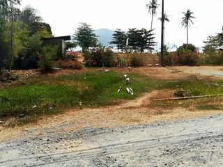 出售 土地 在 Phuket Town, 普吉