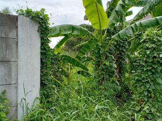 For sale land in Thawi Watthana, Bangkok