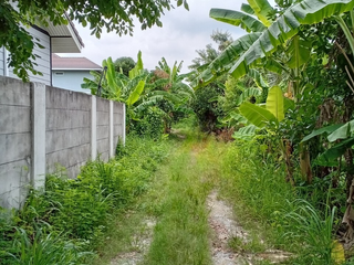For sale land in Thawi Watthana, Bangkok