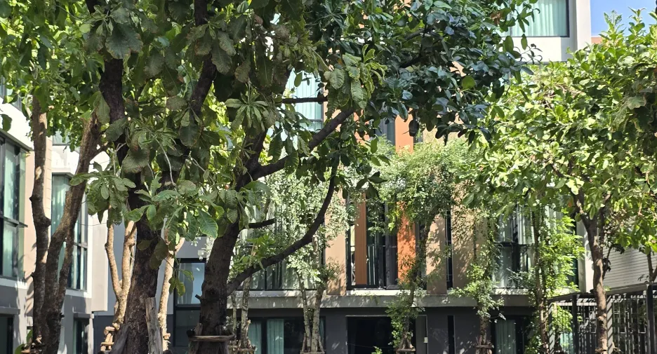 For sale and for rent 2 bedrooms condo in Khlong Toei, Bangkok