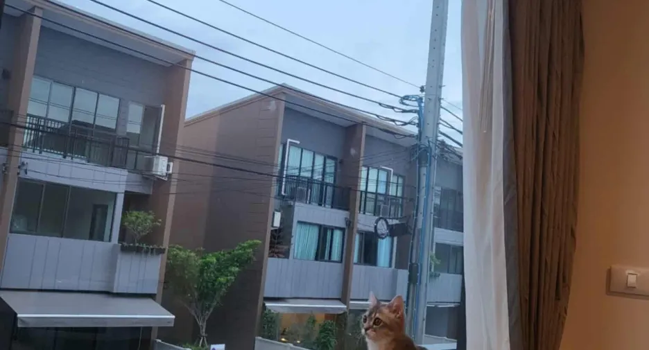 Casa adosada en venta y en alquiler de 3 habitaciones en Suan Luang, Bangkok