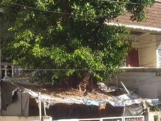 For rent 2 bedrooms townhouse in Mueang Samut Prakan, Samut Prakan