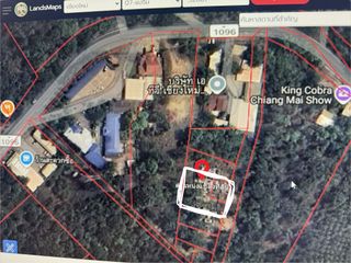 For sale land in Mae Rim, Chiang Mai