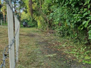 For sale land in Mae Rim, Chiang Mai
