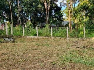 For sale land in Mae Rim, Chiang Mai