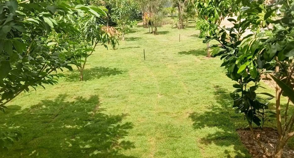 For rent 5 ベッドルーム house in Saraphi, Chiang Mai