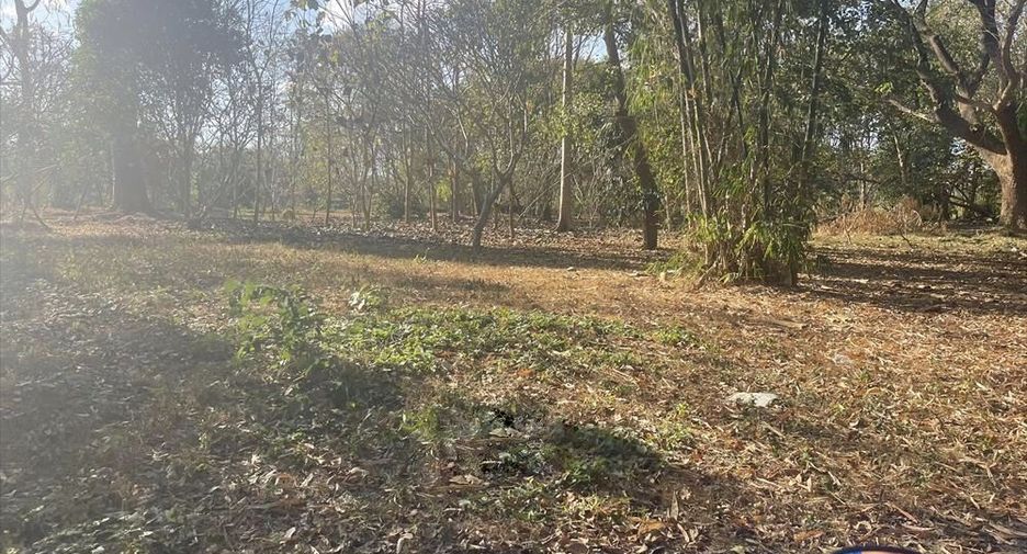 Grundstück zum Kauf in Mae Rim, Chiang Mai
