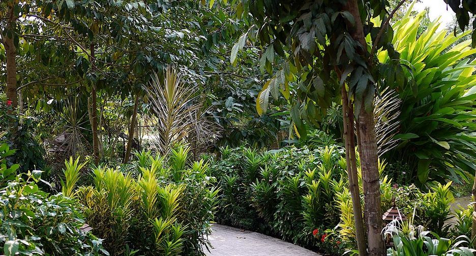 For sale and for rent 2 bedrooms house in Lat Krabang, Bangkok