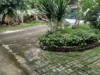 For sale land in Sai Mai, Bangkok