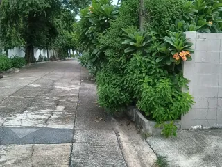For sale land in Sai Mai, Bangkok