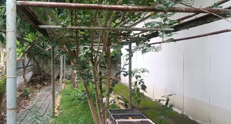 For sale land in Sai Mai, Bangkok