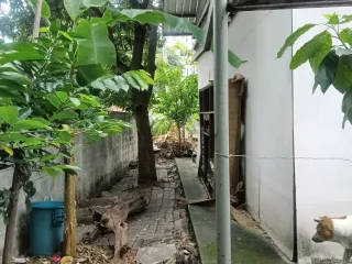For sale land in Sai Mai, Bangkok
