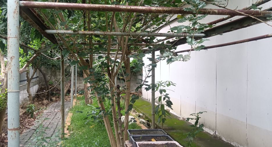 For sale land in Sai Mai, Bangkok