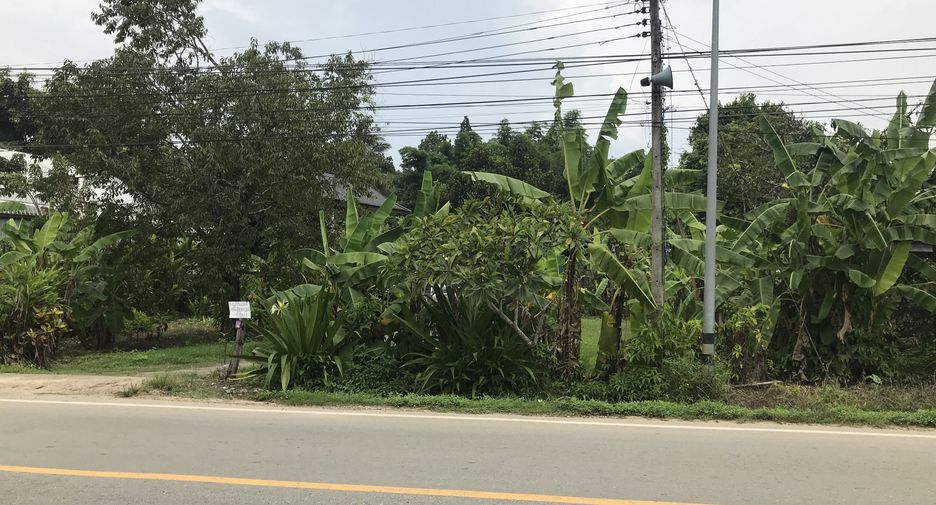 Grundstück zum Kauf in Mae Taeng, Chiang Mai