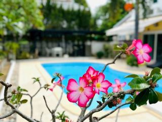 For rent 4 bedrooms house in San Sai, Chiang Mai