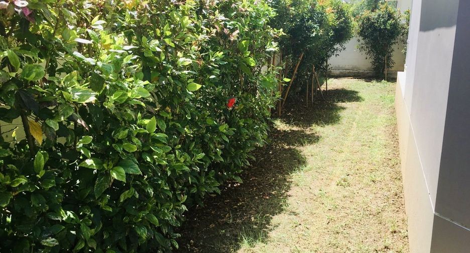 For rent 2 bedrooms house in Mueang Chiang Mai, Chiang Mai