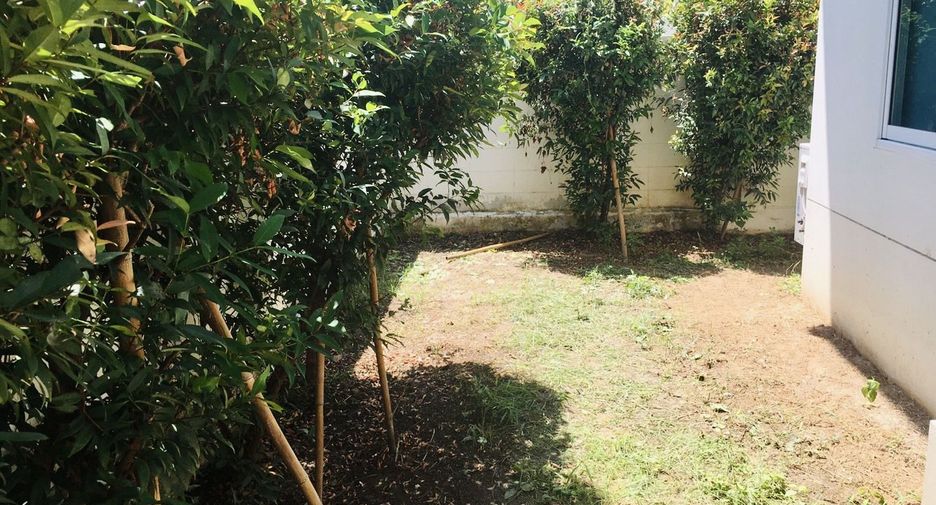 For rent 2 bedrooms house in Mueang Chiang Mai, Chiang Mai
