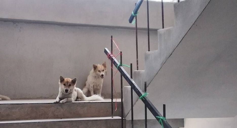 Reihenhaus zum Kauf mit 6 Zimmer in Mueang Chiang Mai, Chiang Mai
