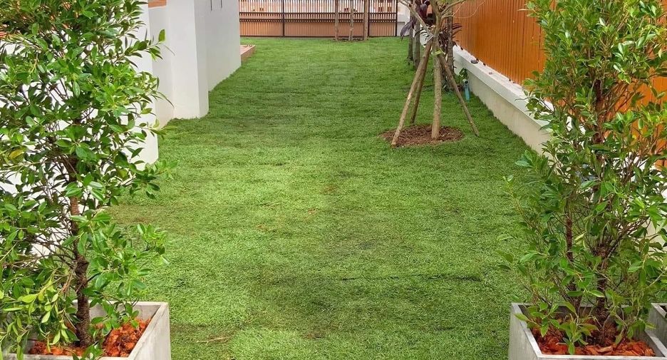 ขาย และ ให้เช่า 3 ห้องนอน บ้านเดี่ยว ใน สันทราย, เชียงใหม่