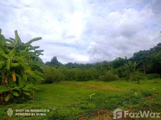 Terreno en venta en Mae Rim, Chiang Mai