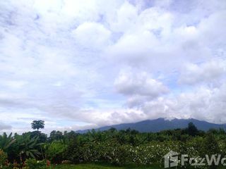 Terreno en venta en Mae Rim, Chiang Mai