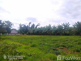 Terreno en venta en Mae Rim, Chiang Mai