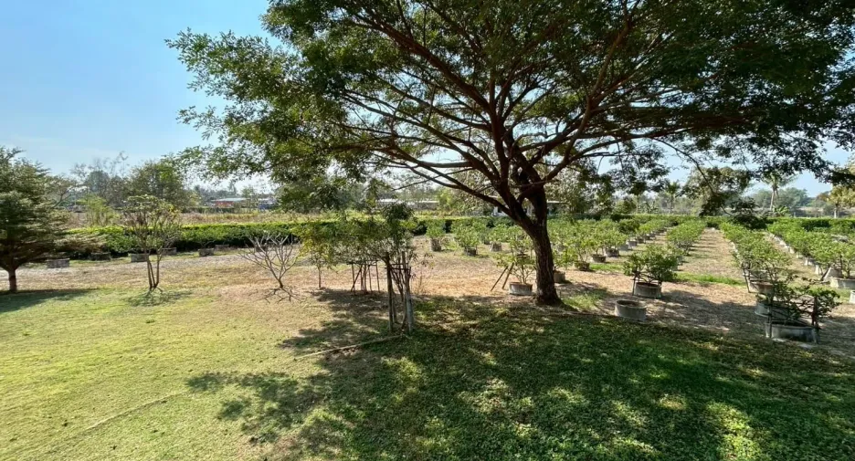 For sale 4 bedrooms house in Doi Saket, Chiang Mai