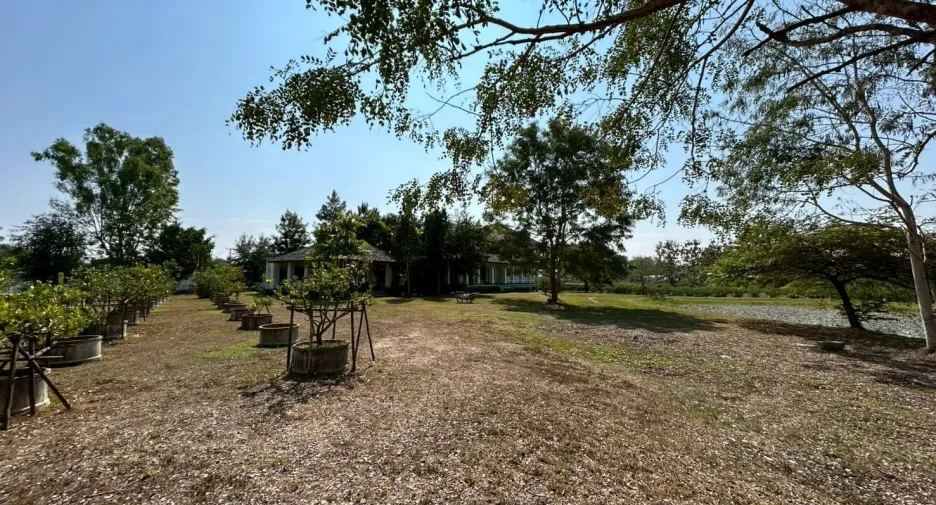 For sale 4 bedrooms house in Doi Saket, Chiang Mai