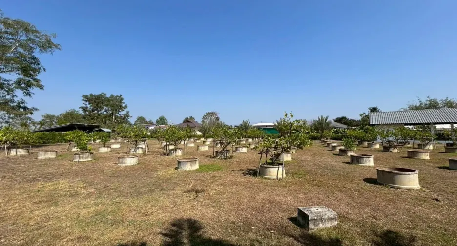 For sale 4 bedrooms house in Doi Saket, Chiang Mai