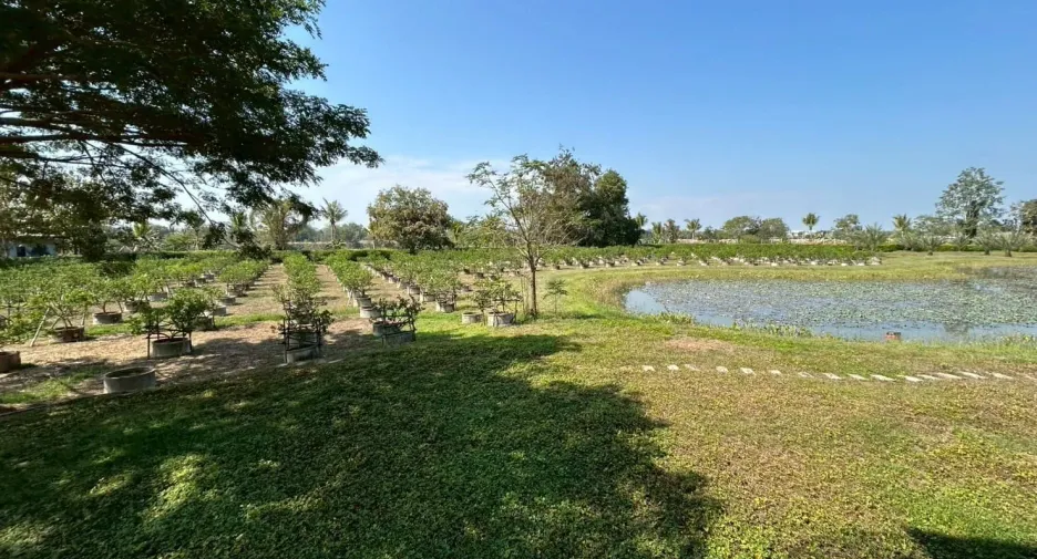 For sale 4 bedrooms house in Doi Saket, Chiang Mai