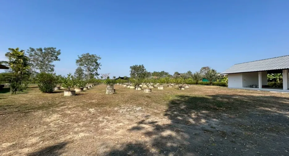 For sale 4 bedrooms house in Doi Saket, Chiang Mai