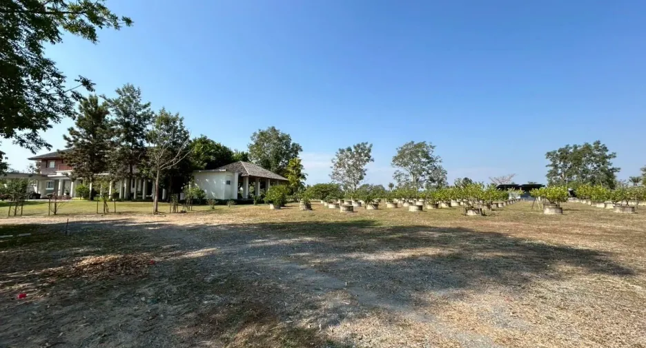 For sale 4 bedrooms house in Doi Saket, Chiang Mai