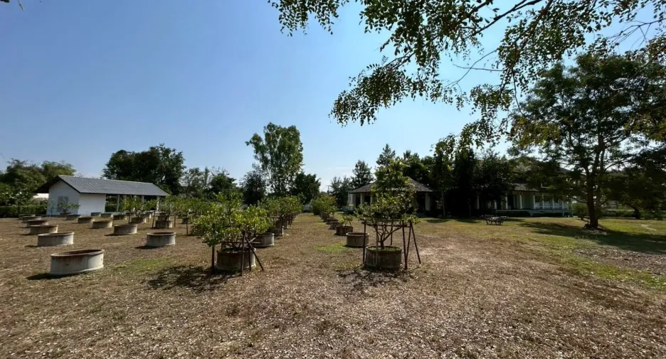 For sale 4 bedrooms house in Doi Saket, Chiang Mai